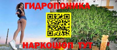 альфа пвп Севастополь