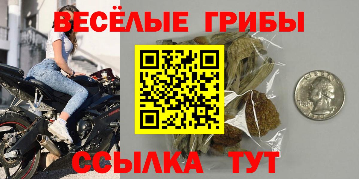 Галлюциногенные грибы прущие грибы  Вход с VPN  Новотроицк 