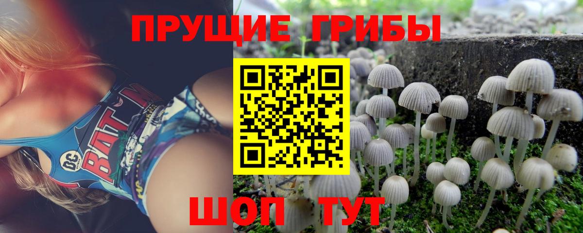 ЭКСТАЗИ  Alpha PVP СОЛЬ кристаллы  Новотроицк  Вход с VPN  ГАШИШ  Мефедрон кристаллы  НБОМе 